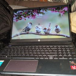 HP Pavilion Laptop 15in Solidstate Hard Drive