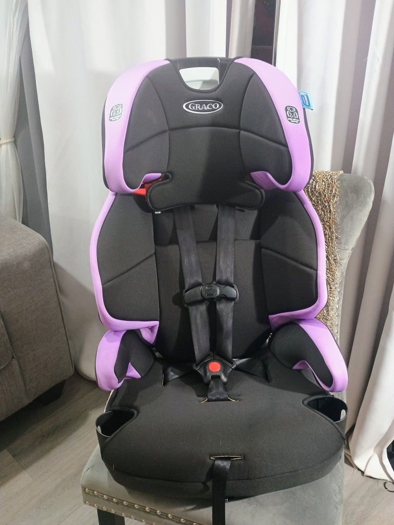 Graco Toddler Car Seat