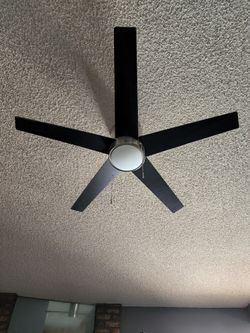 contemporary ceiling fan 
