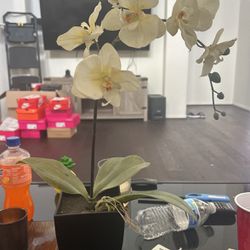 fake flower plant 