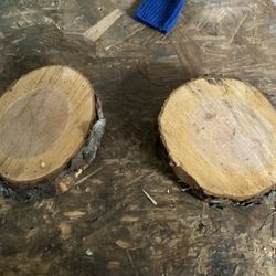 Wood Slices 