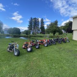 Mini Bikes