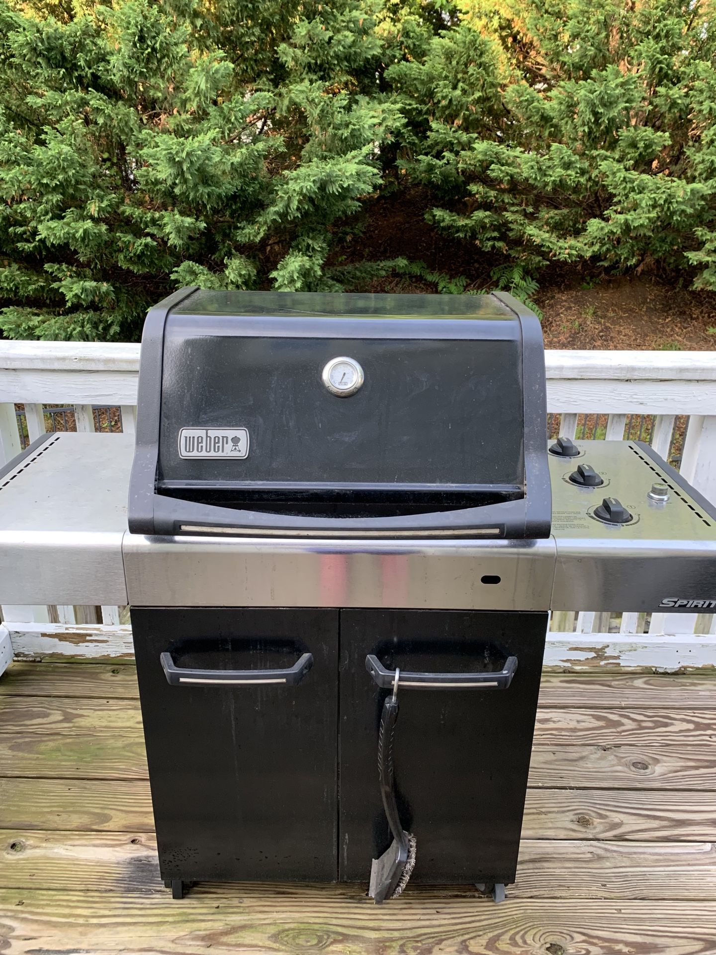 Weber Spirit Grill