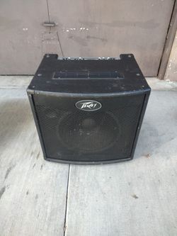 Bass Speaker Pavey $300 O Best Offer