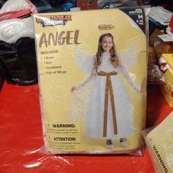 Angel Custom