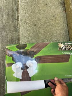 Ceiling fan (hardly used)
