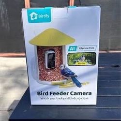 New bird feeder with camera