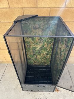 Chameleon Habitat and equipment