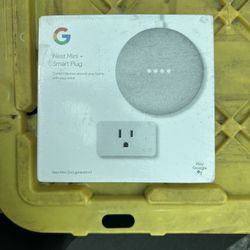 Google Nest Mini + Smart Plug