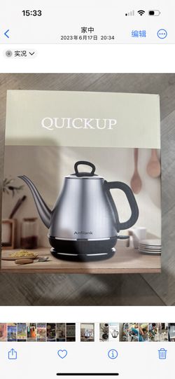 Electric Gooseneck Kettle