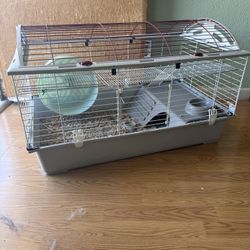 Hamsters O Mouse Houses