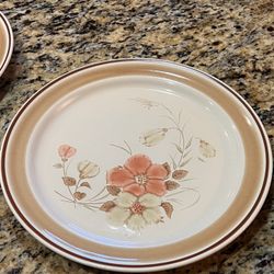 Vintage Dinner Plates 