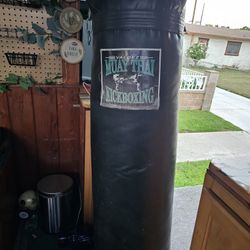 Punch And Kick Boxing Bag