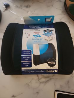 Lumbar support pillow(samsonite)