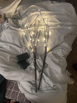 2 Ct Light Up Tree Branches 