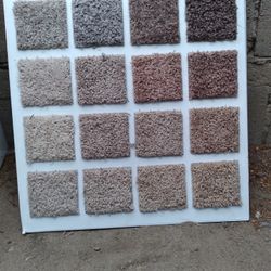 CARPET