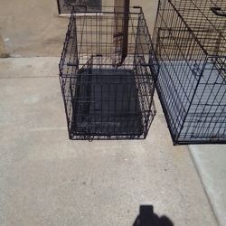 Dog Kennel