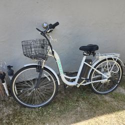 Fast Electric Bike
