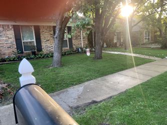 Se Cortan Llardas Y Limpiesa De Ojas En Mesquite Tx