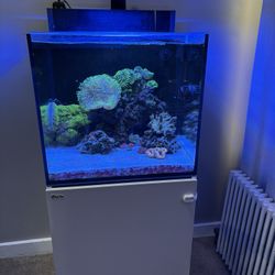 Redsea 50 Gallon Tank
