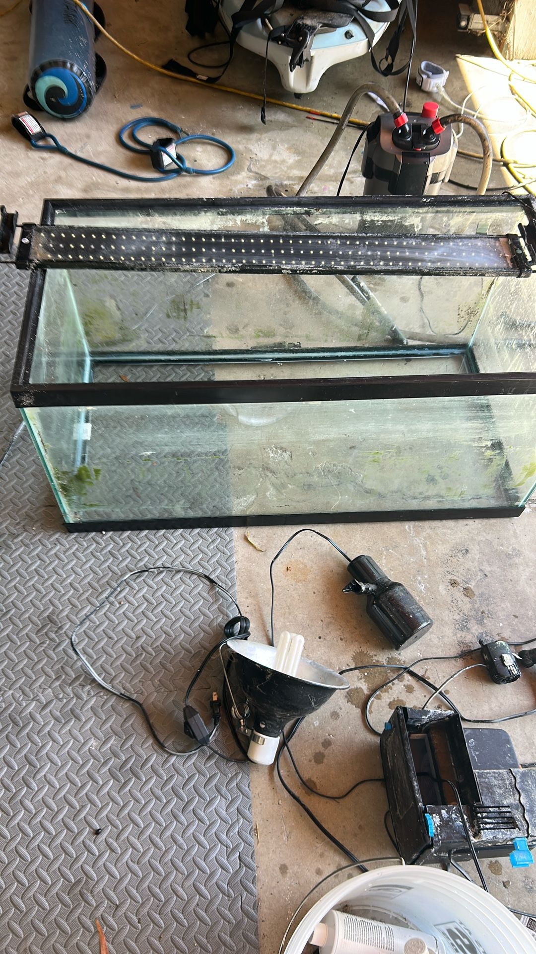 40 Gallon Fish Tank