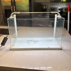 FishTank 