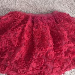 Girl Skirt 9/10 $10