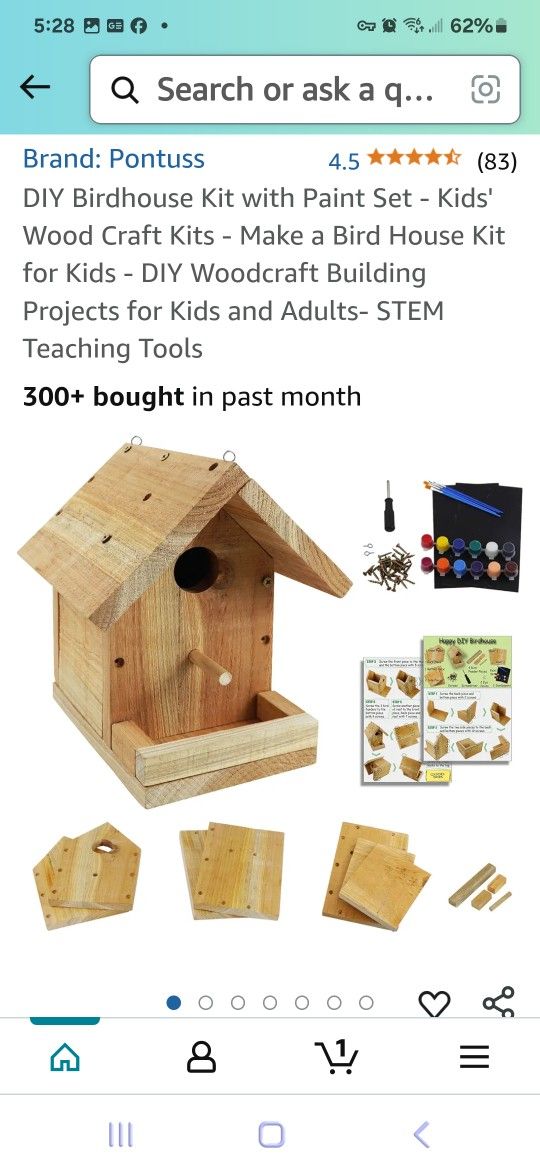 DIY Birdhouse Kit