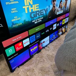 Gently Used LG OLED Smart TV