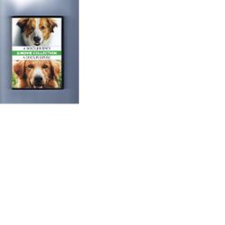 A Dog's Journey/A Dog's Purpose
