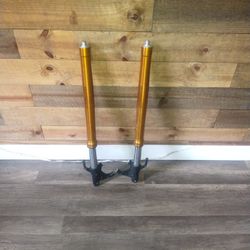 Yamaha R6 Forks 