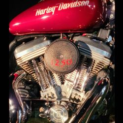 2005 Harley-Davidson xl1250l