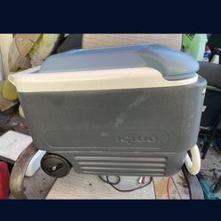 Igloo Cooler 