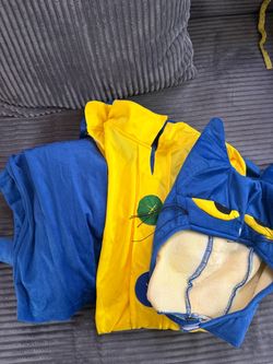 Pete the cat costume