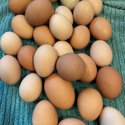 Farm Fresh  Chicken Eggs - $9 a Dozen  Close to the Maltby Cafe 