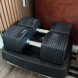 At-Home Dumbbells [Up To 50 Lbs]