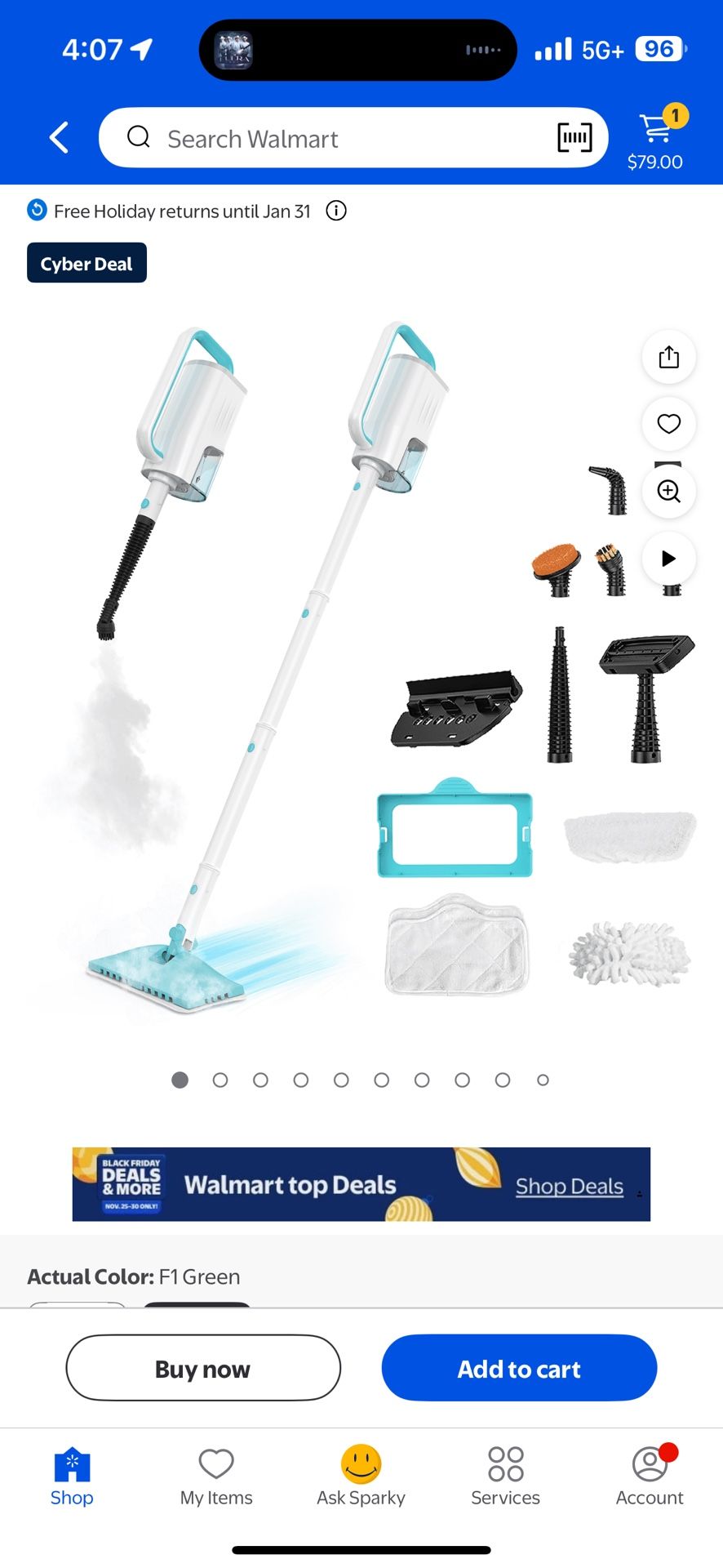 INSE Steam Mop,All-in-One Scrubbing and Sanitizing Detachable Floor Steamer,11 Accessories for Upholstery,Carpet & Furniture,Green