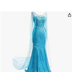 Elsa Frozen Princess Dress And Wig 