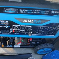 Dual Fuel Generator 13000w