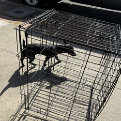 Medium Size Dog Kennel 