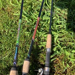 3 🐟 fishing rods
