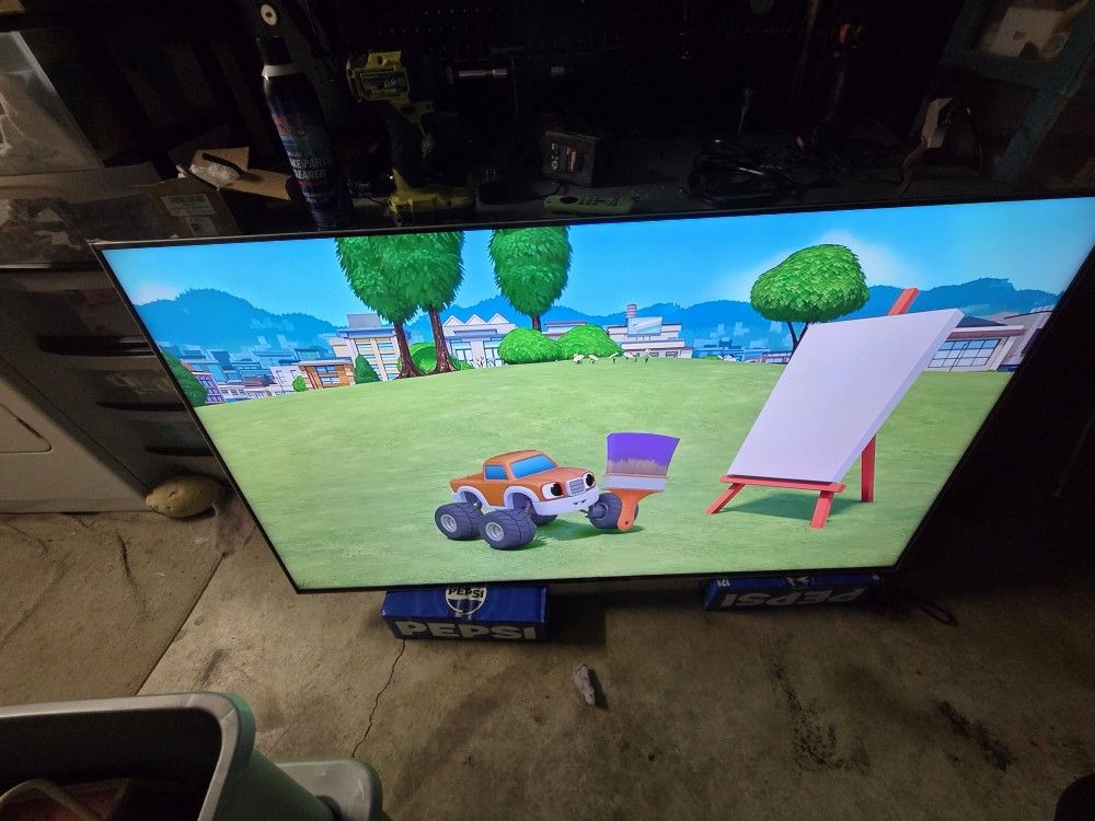 65 Inch Sony Bravia Tv