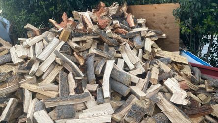 Dry Hardwood White Ash Red Eucalyptus Oak 