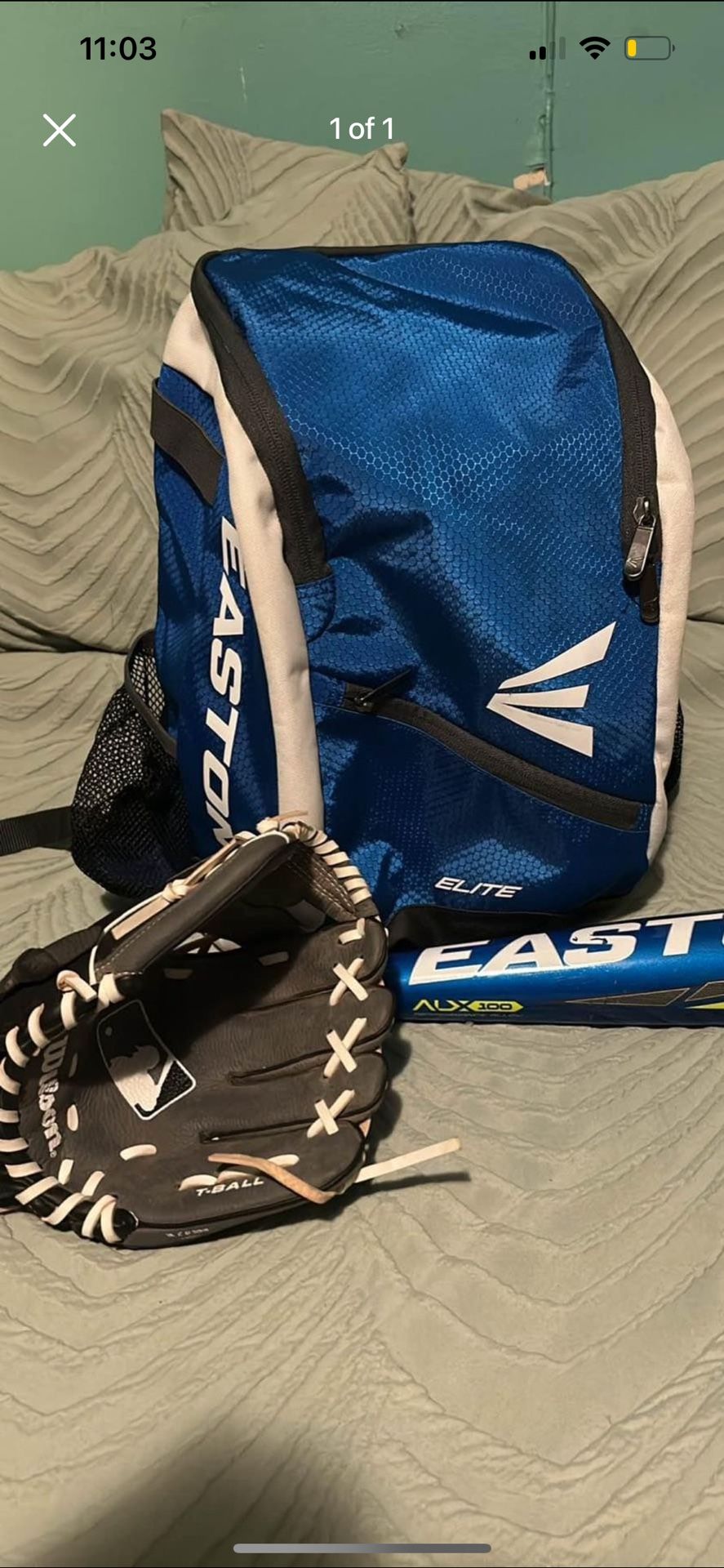 Baseball Bag, Bat And That'll Glove