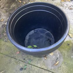95 Gallon Plastic Pot