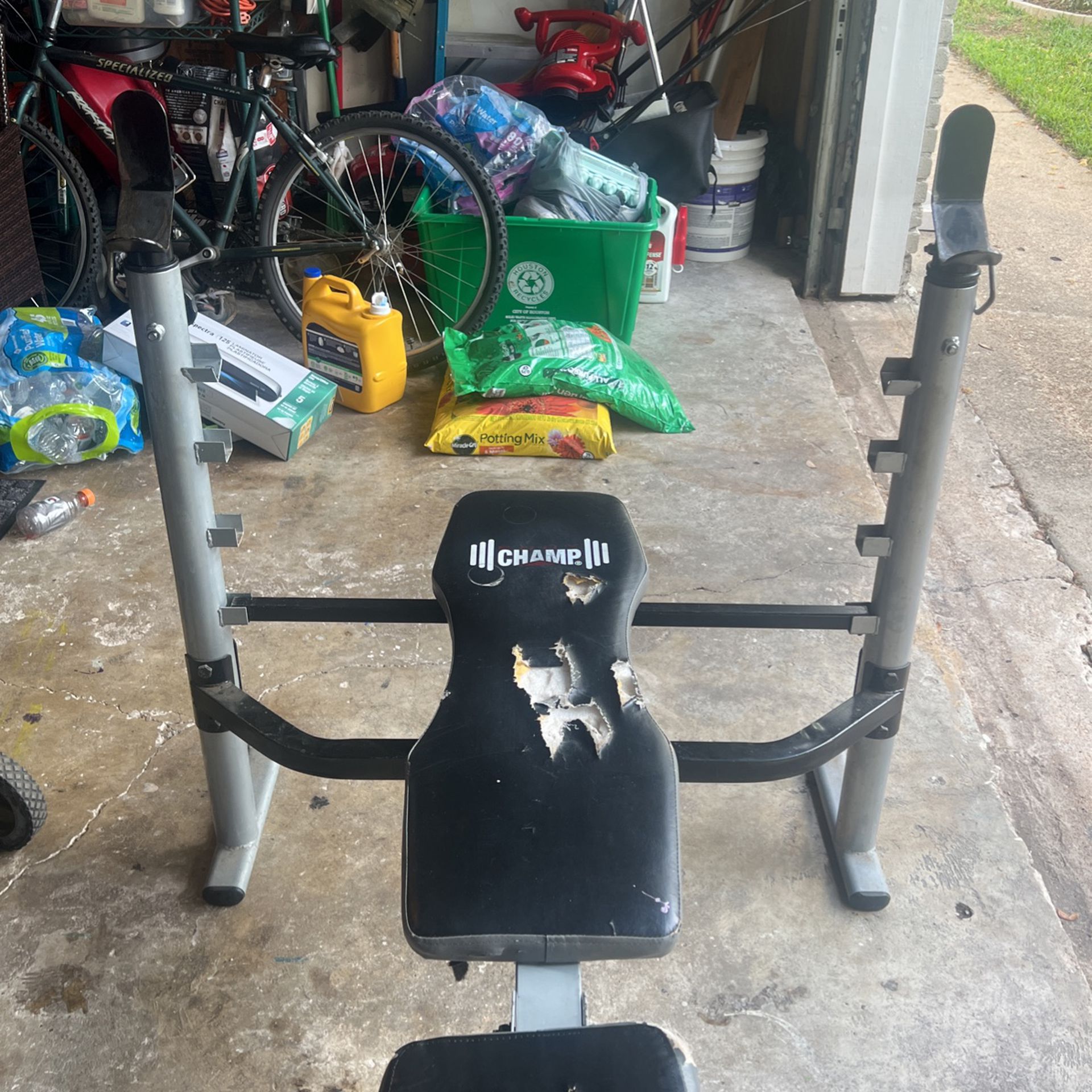 Adjustable Bench Press With Weights