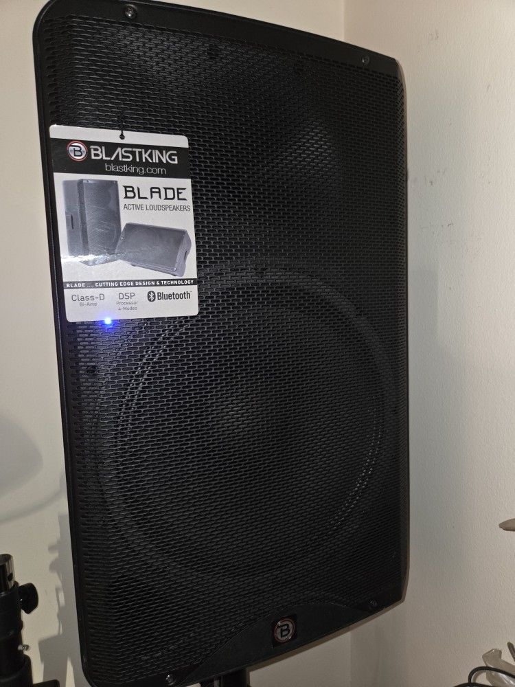 PROFESSIONAL DJ SPEAKER