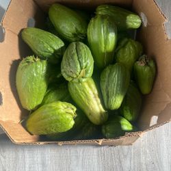 Chayotes Just Pick $1.00