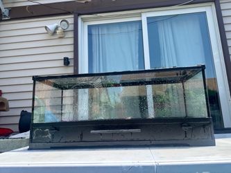 20 gallon reptile tank