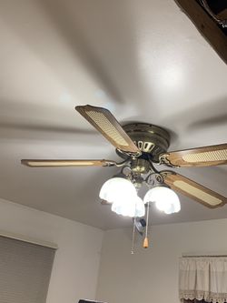 Ceiling Fans